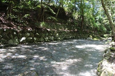 IMG_0474 1