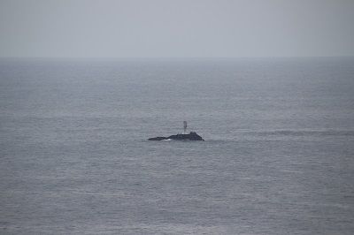 IMG_0567 1