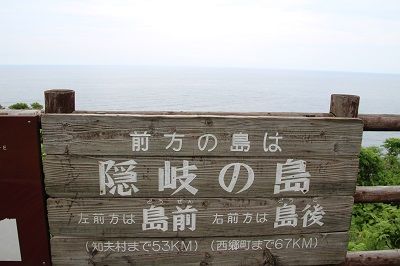 IMG_0569 1