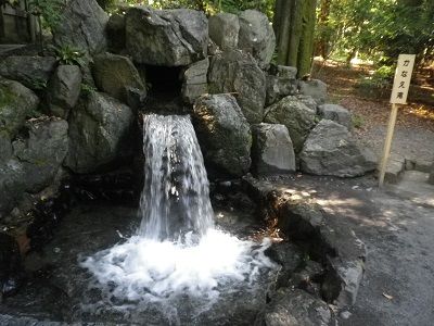 IMGP9943 1