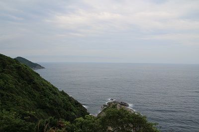 IMG_0566 1