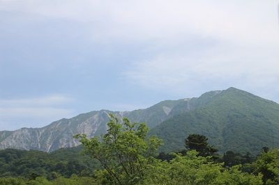 IMG_0681 1