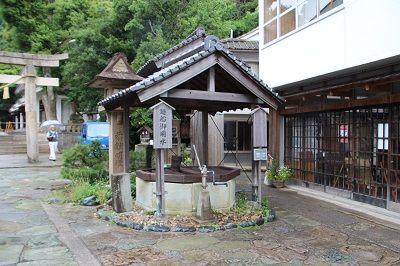IMG_0518 1