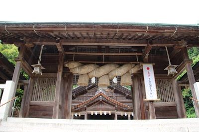 IMG_0535 1