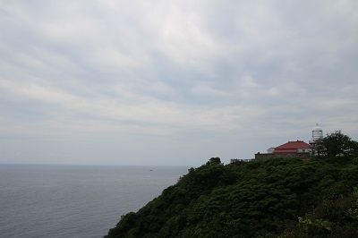 IMG_0562 1