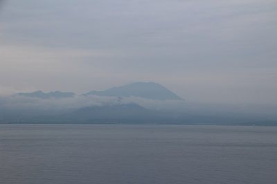 IMG_0561 1