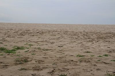 IMG_0607 1