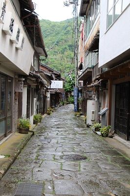IMG_0544 1