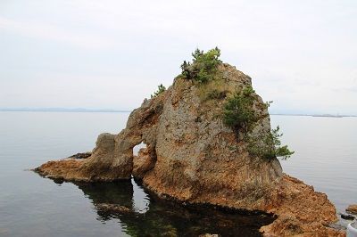 IMG_0601 1