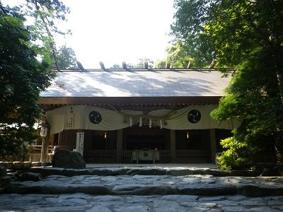 IMGP9935 1