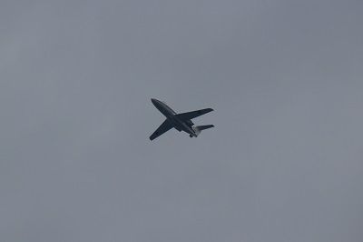 IMG_0593 1