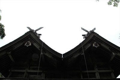 IMG_0532 1