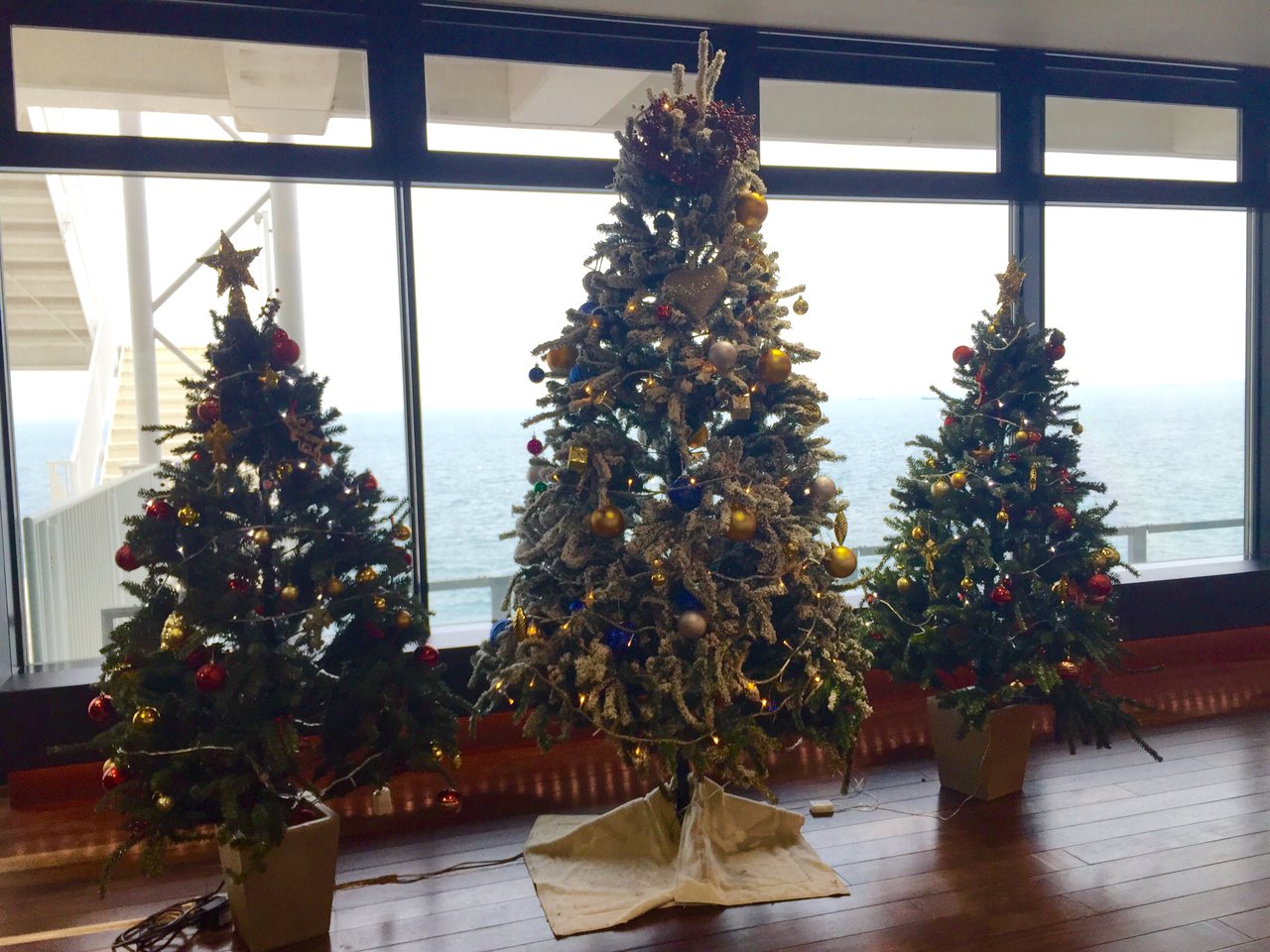 盛りだくさん 師走の房総お買物と海鮮浜焼き食べ放題 関東三大イルミネーション 東京ドイツ村 東京調布市の旅行会社さくらツーリスト株式会社