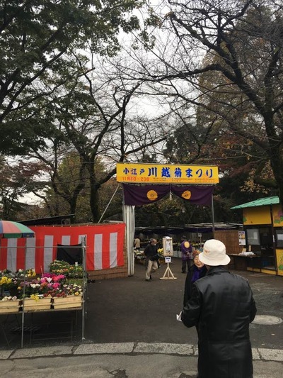 喜多院 菊まつり