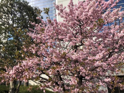 e75e961f-cad1-4cf4-9756-978a47507c97