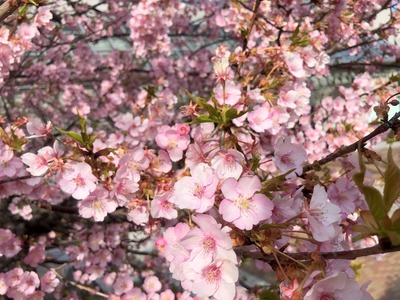 32c9a1c9-a62c-4a93-a244-ce975a248d52