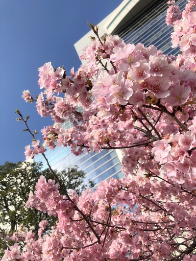 16b85a13-4459-46c9-bbc9-db7f8d3e563c