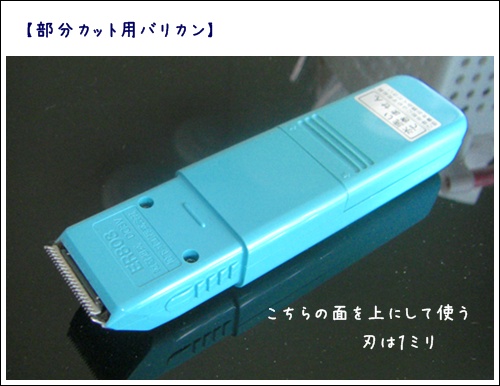 トリミング講座 部分バリカン編 トイプーゆずの 犬のホントの気持ち