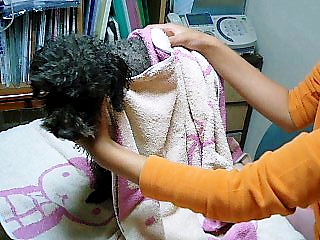 お風呂 With にんにく トイプーゆずの 犬のホントの気持ち