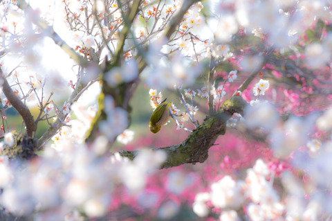 20130223-DSC_3392
