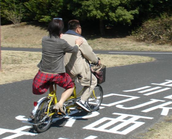 昭和記念公園 くにたち 桜前線 東京都国立市の桜の開花状況をご案内