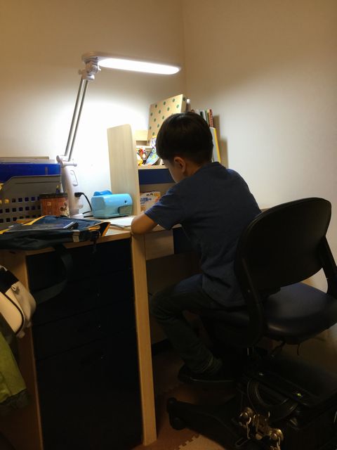 2年生になった孫 ハナコちゃん