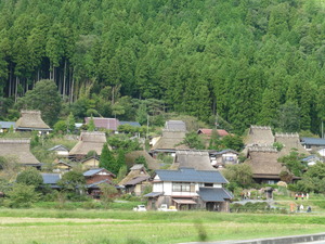 P1060317