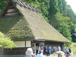 P1060303