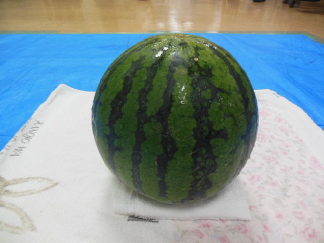 DSCN2447