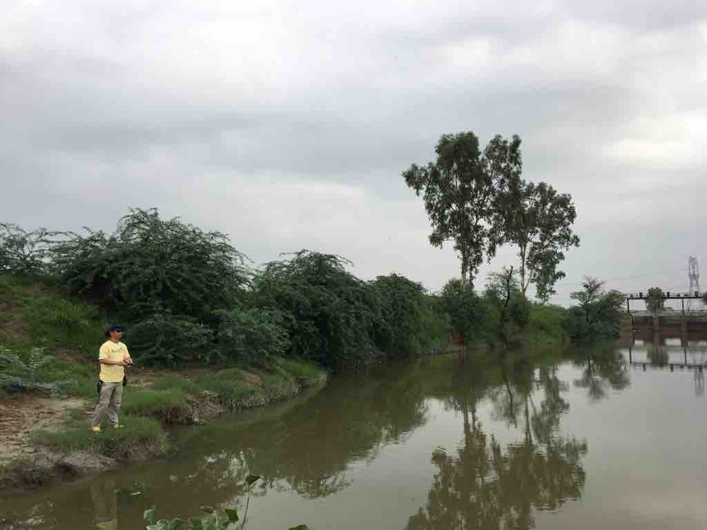 インド釣査144 ここにはいないはずの魚 桜フィッシングクラブ