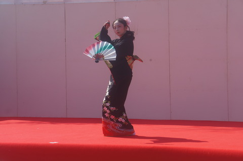 DSC04310