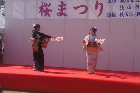DSC04323
