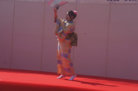 DSC04317