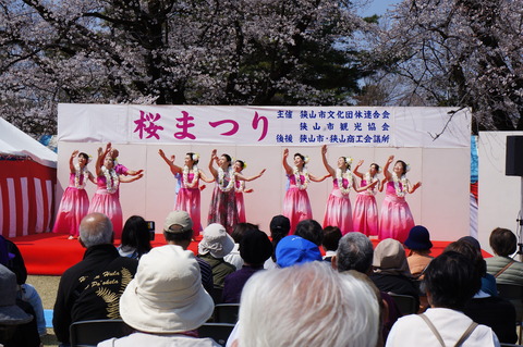 DSC04379