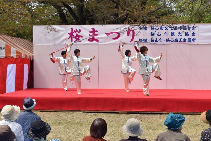 DSC_0228 (800x533)