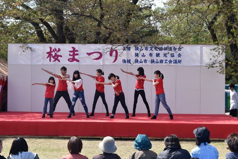 DSC_0333 (800x533)