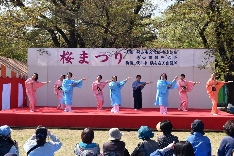DSC_0304 (800x533)