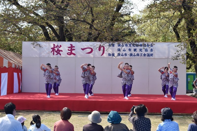 DSC_0352 (800x533)