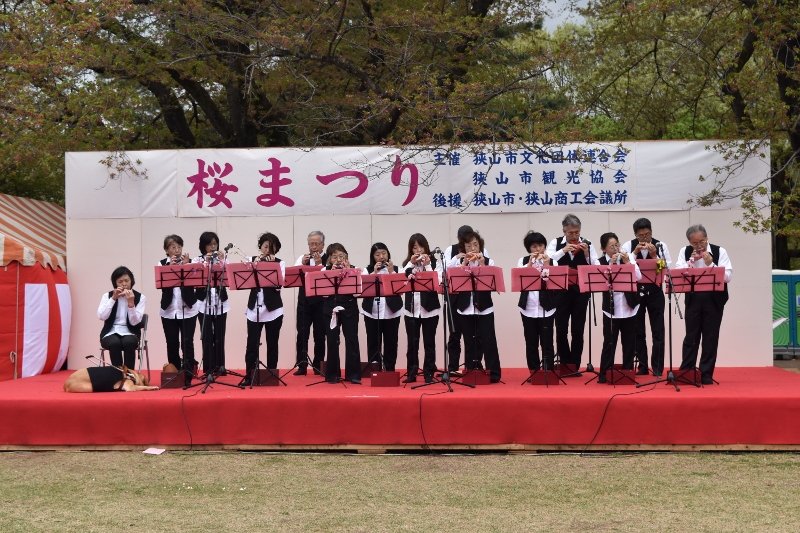 DSC_0140 (800x533)