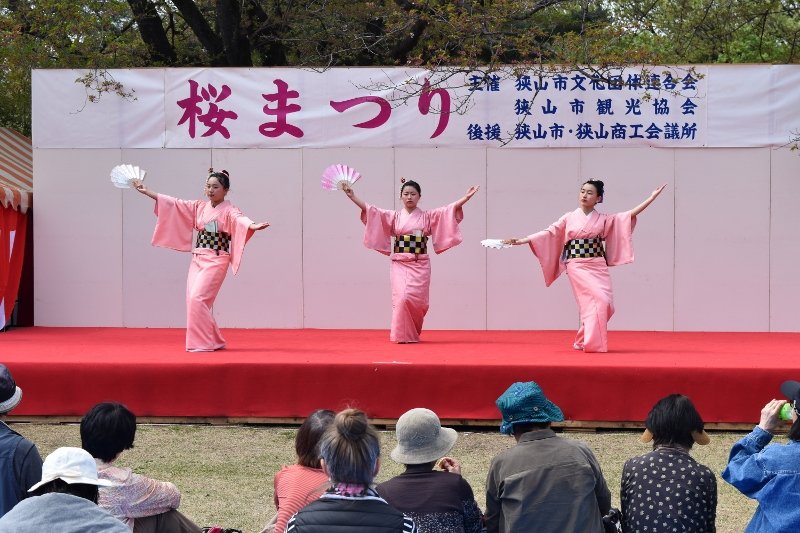 DSC_0273 (800x533)