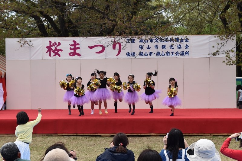 DSC_0116 (800x533)