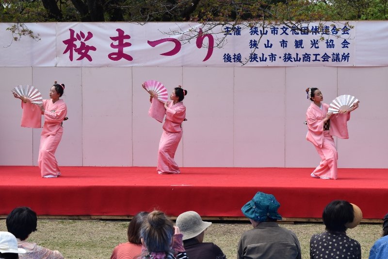 DSC_0272 (800x533)