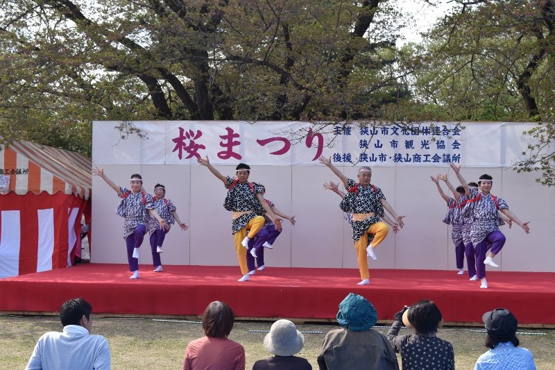 DSC_0375 (800x533)