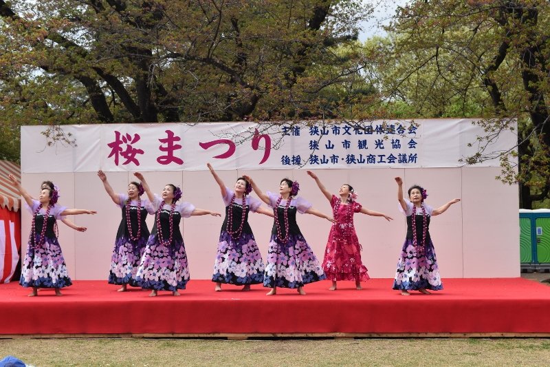 DSC_0076 (800x533)