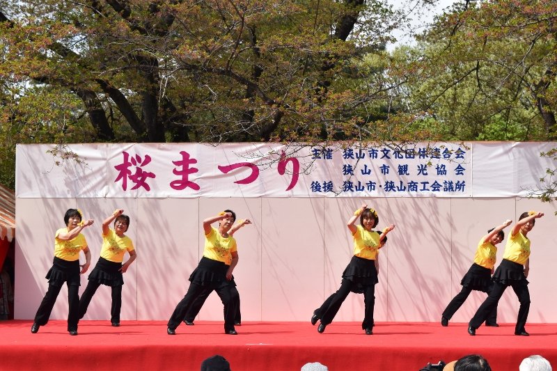 DSC_0215 (800x533)