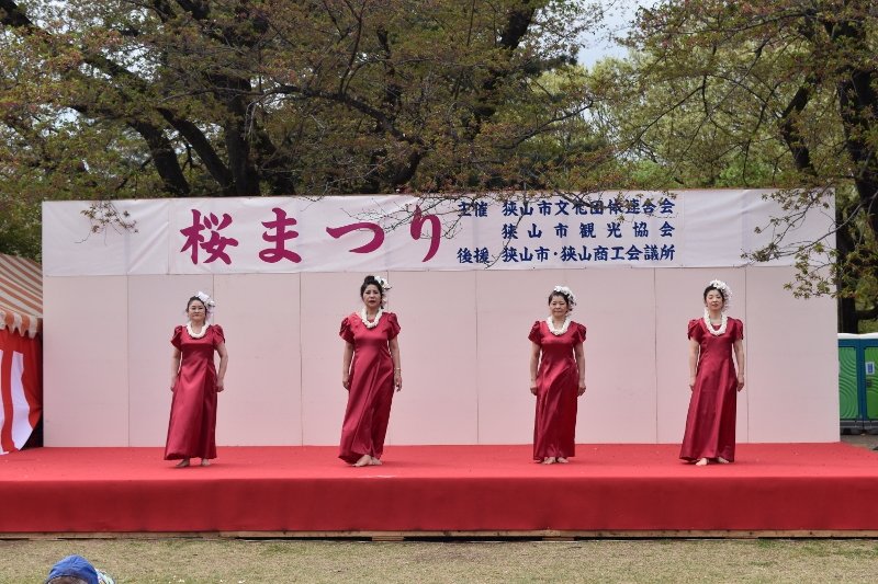 DSC_0078 (800x533)