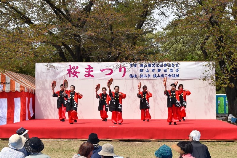 DSC_0176 (800x533)