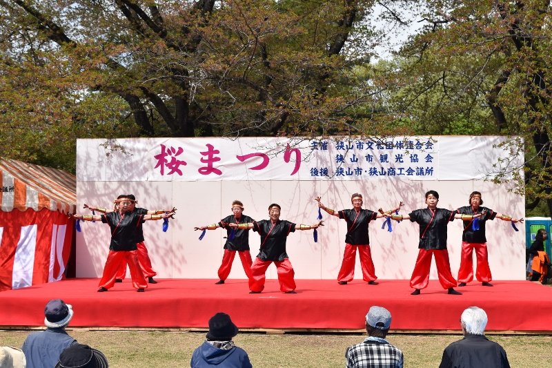 DSC_0171 (800x533)