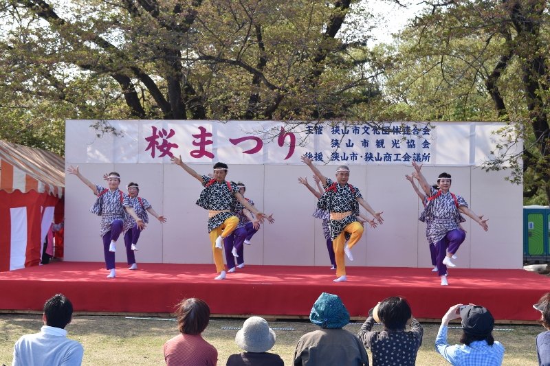 DSC_0371 (800x533)
