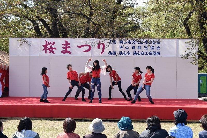 DSC_0331 (800x533)